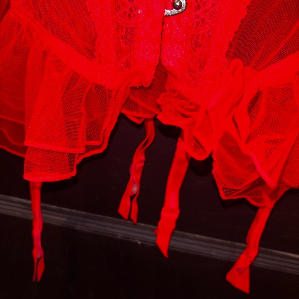Victoria's Secret Hot Pink Lace Bustier Front Hook Closure Stocking Straps 36D - Picture 3 of 6